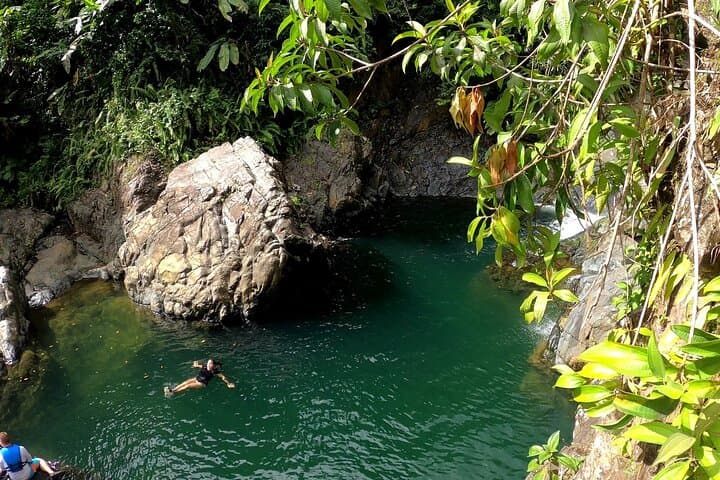 El Yunque Rainforest Nature Walk & Luquillo Beach Combo — Day Tour from San Juan