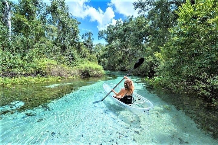 Glass-Bottom Kayak Tour at Rock Springs: 2-Hour Guided Eco Paddle