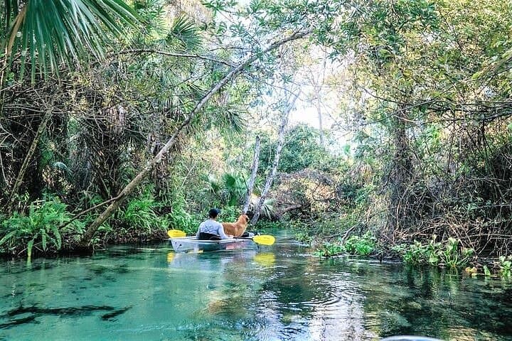 Glass-Bottom Kayak Tour at Rock Springs: 2-Hour Guided Eco Paddle photo 2