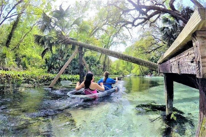 Glass-Bottom Kayak Tour at Rock Springs: 2-Hour Guided Eco Paddle photo 3