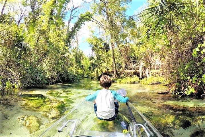 Glass-Bottom Kayak Tour at Rock Springs: 2-Hour Guided Eco Paddle photo 5