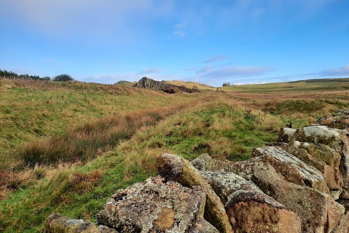 Half-Day Hadrian's Wall Guided Tour: Vindolanda & Cawfields Views photo 5