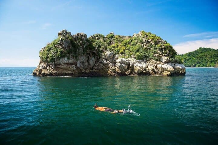 Tortuga Island Day Trip: Snorkel, White Sand Beaches & Coral Restoration photo 5