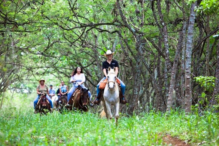 Oahu Sunset Horseback Ride: North Shore Sunset Horseback Tour photo 6