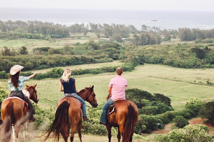 Oahu Sunset Horseback Ride: North Shore Sunset Horseback Tour photo 4