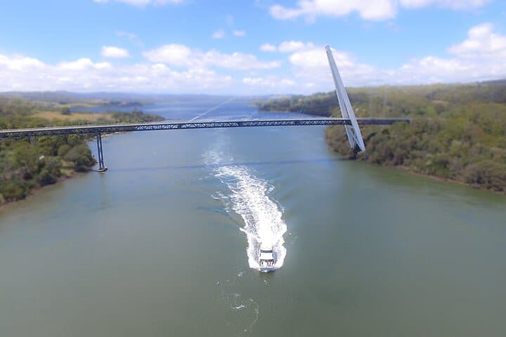 Tamar Valley Luncheon Cruise to Batman Bridge & Cataract Gorge photo 4