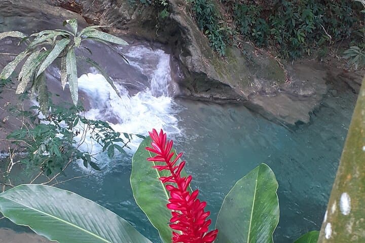 Mayfield Falls Nature Walk: Swim, Climb and Explore Westmoreland’s Cool Mountain Pools photo 6