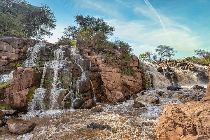 Awash National Park: Two-Day Wildlife Safari, Hot Springs & Waterfalls photo 3