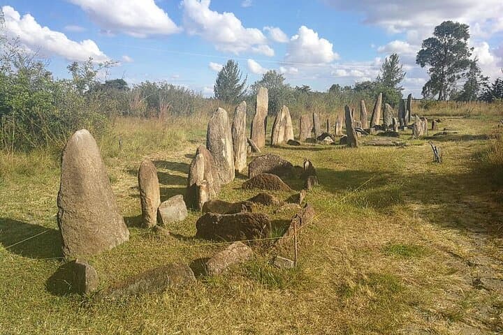 Tiya Stelae & Lake Ziway: UNESCO Archaeology and Rift Valley Birding photo 5