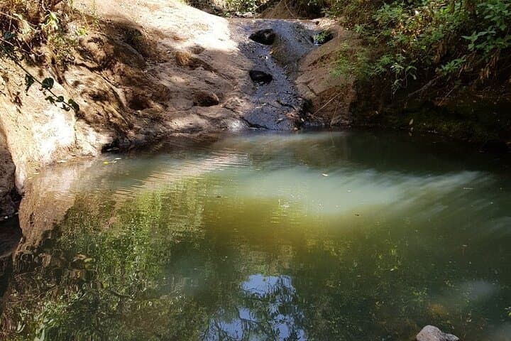 Day Trip to Menagesha Suba Forest from Addis Ababa — Trails, Wildlife & Practical Tips photo 4