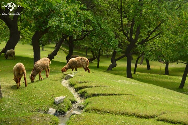 10-Day Hunza, Skardu & Deosai Camping Adventure: High Passes, Forts & Alpine Lakes photo 2