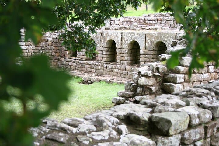 Full-Day Hadrian's Wall Guided Walk: Housesteads, Vindolanda & Cawfields photo 6