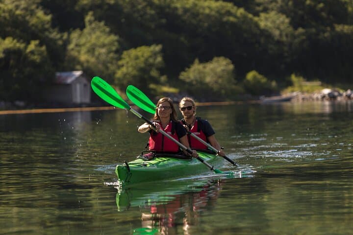 Paddle Geirangerfjord: 2-Hour Guided Kayak Tour to Gjaerdefossen photo 3