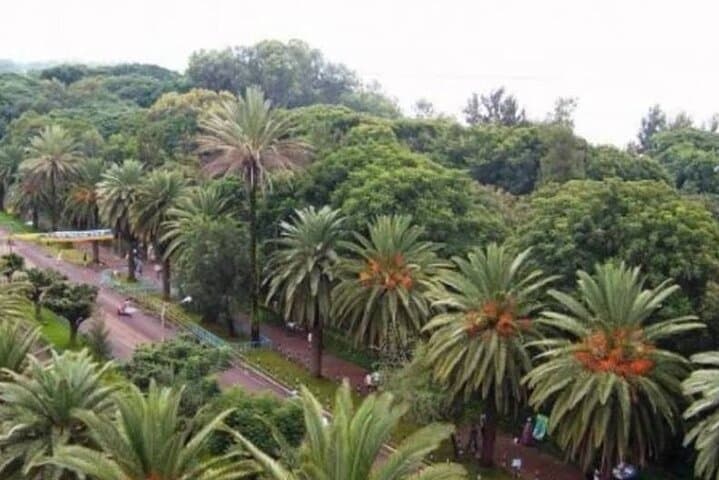 Lake Tana Monasteries and Blue Nile Falls: Full-Day Private Guided Tour from Bahir Dar photo 4
