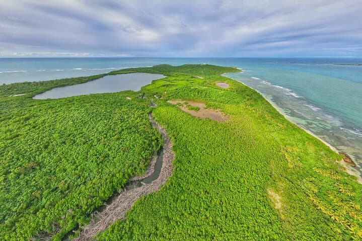 El Yunque to Luquillo: Full-Day Rainforest Hike, Beach Break & Laguna Grande Bio Bay Kayak photo 6