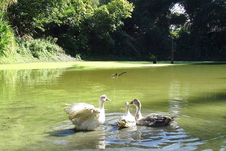 Taino Valley Tropical Park Puerto Plata — Tubagua Cultural & Nature Walk photo 2