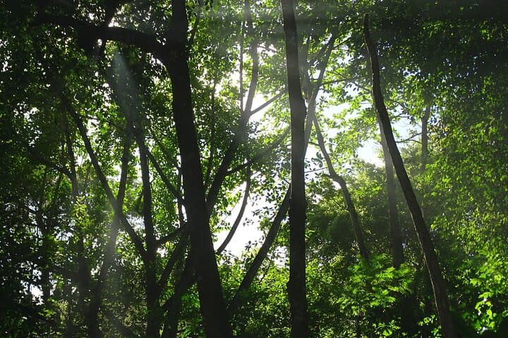 Taino Valley Tropical Park Puerto Plata — Tubagua Cultural & Nature Walk photo 3