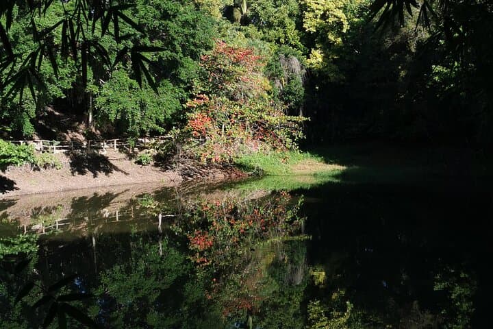 Taino Valley Tropical Park Puerto Plata — Tubagua Cultural & Nature Walk photo 5