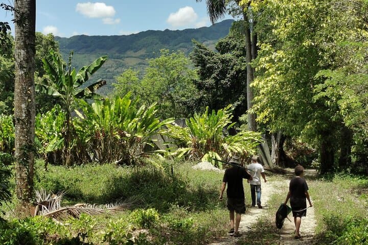 Taino Valley Tropical Park Puerto Plata — Tubagua Cultural & Nature Walk