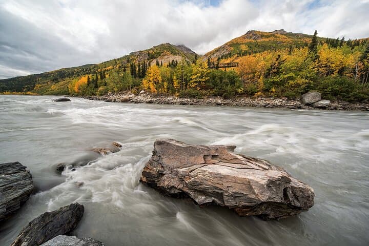 Denali Photo Excursion: Small-Group Photography Tour in Denali National Park photo 4