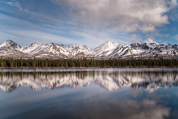 Denali Photo Excursion: Small-Group Photography Tour in Denali National Park photo 2