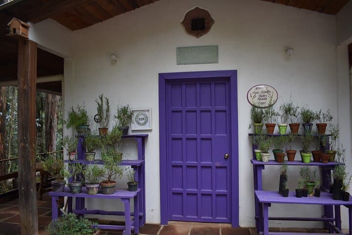 Hacienda de Chautla, Lavender Ranch & Val'Quirico: Private Day Tour from Puebla photo 4