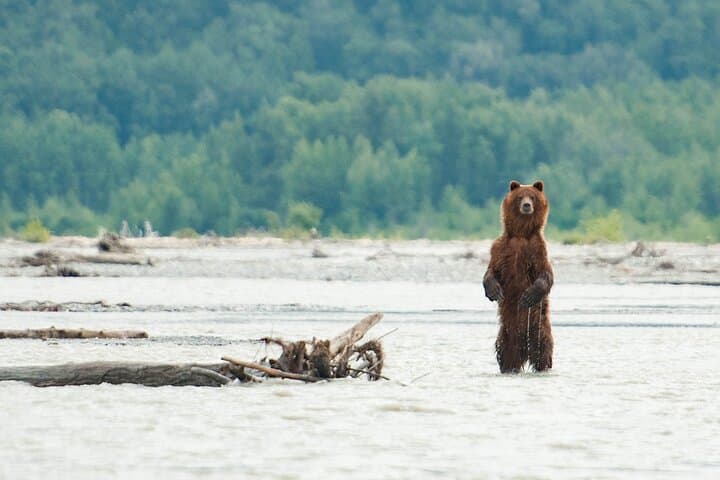 Exploring Alaska’s Chilkat Bald Eagle Preserve: Private Float Trip in Haines photo 3