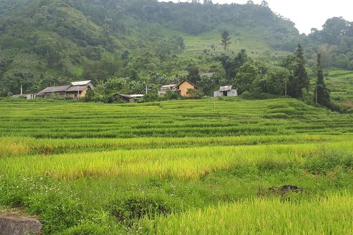 Mai Chau to Pu Luong: 2-Day Trekking and Homestay Adventure from Hanoi photo 3