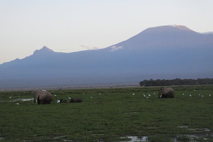Amboseli National Park Day Safari — Kilimanjaro Views & Big Game photo 1