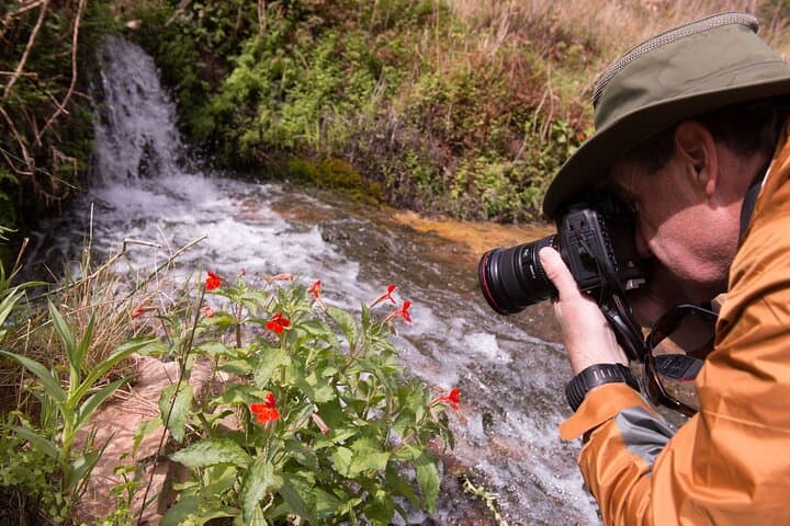 Capture the Wasatch: Private Photo Workshop & Scenic Tour from Park City photo 5
