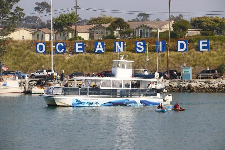 Luxury Two-Hour Whale Watching from Oceanside Harbor photo 4