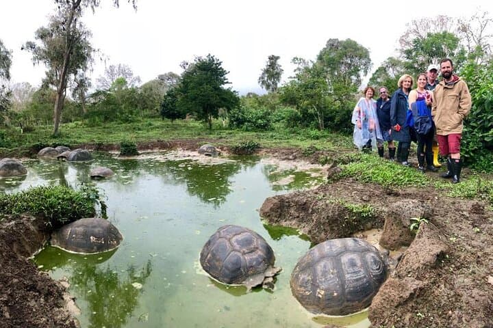 Galapagos Giant Tortoise Reserve & Los Gemelos Highlands Private Tour