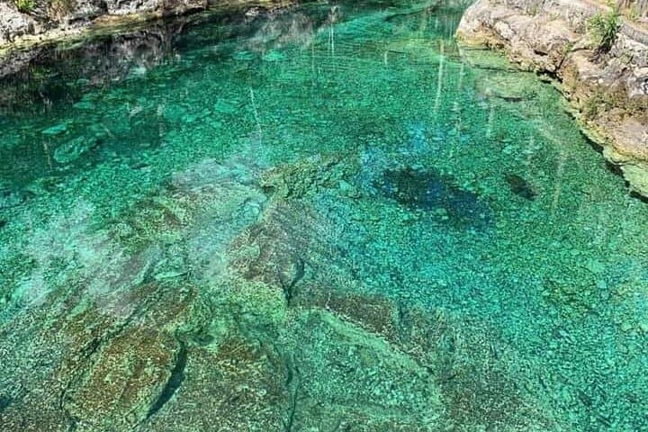Exploring Riviera Maya Cenotes: Full-Day Swimming & Snorkeling Adventure photo 3