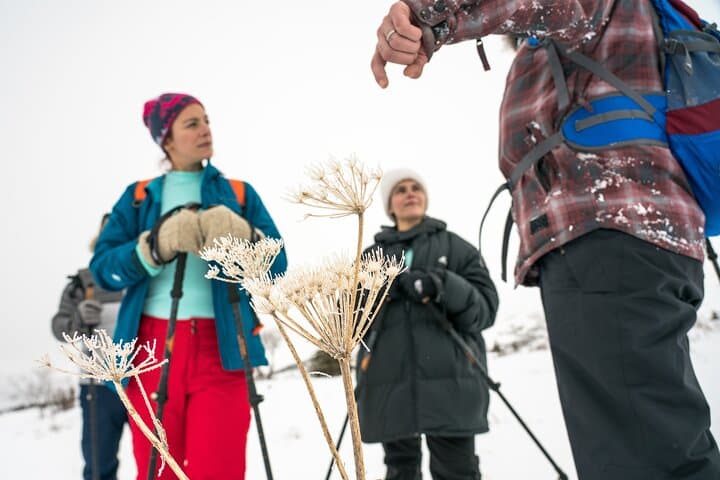 Advanced Snowshoeing in Glen Alps: Winter Tour from Anchorage photo 5