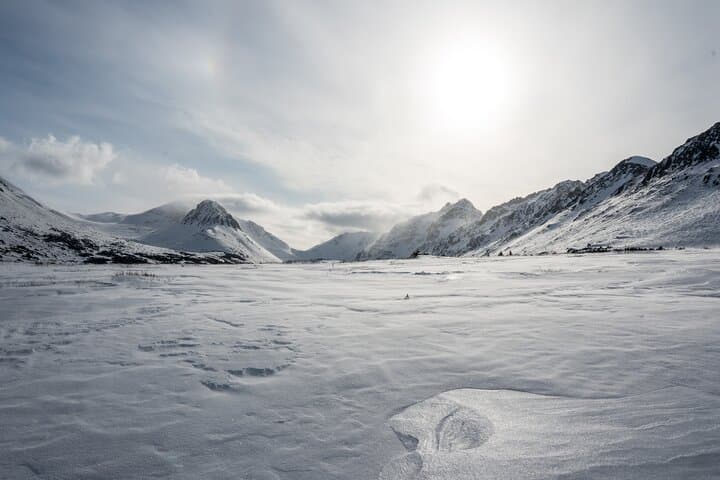 Advanced Snowshoeing in Glen Alps: Winter Tour from Anchorage photo 4