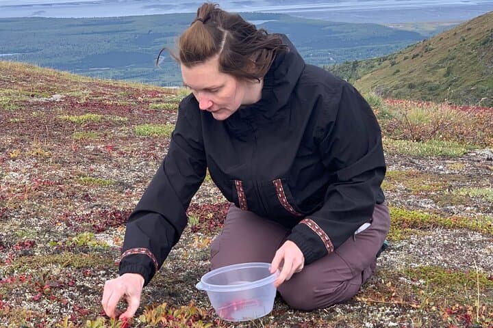 Forage, Hike, Cook: Anchorage Backcountry Eats Daytrip photo 2