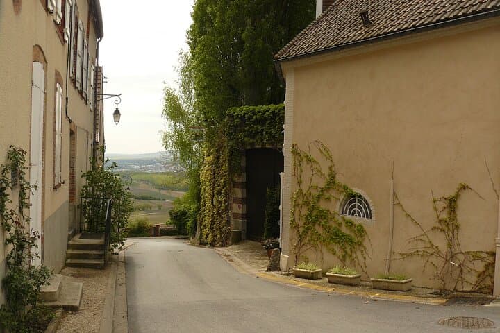 Private Moët, Hautvillers & Champagne Vineyards Day Tour from Paris photo 2