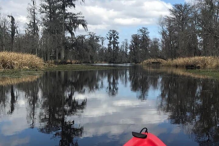Manchac Swamp Kayak and Whitney Plantation Combo from New Orleans photo 5