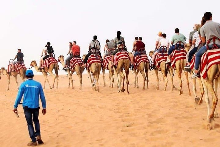 Dubai Red Dune Desert Safari — 45-Minute Dune Bashing, BBQ & Bedouin Camp Experience photo 6