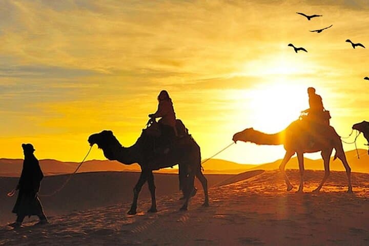 Sunrise Desert Safari Dubai — Dune Bashing, Sandboarding & Camel Rides in Lahbab photo 4