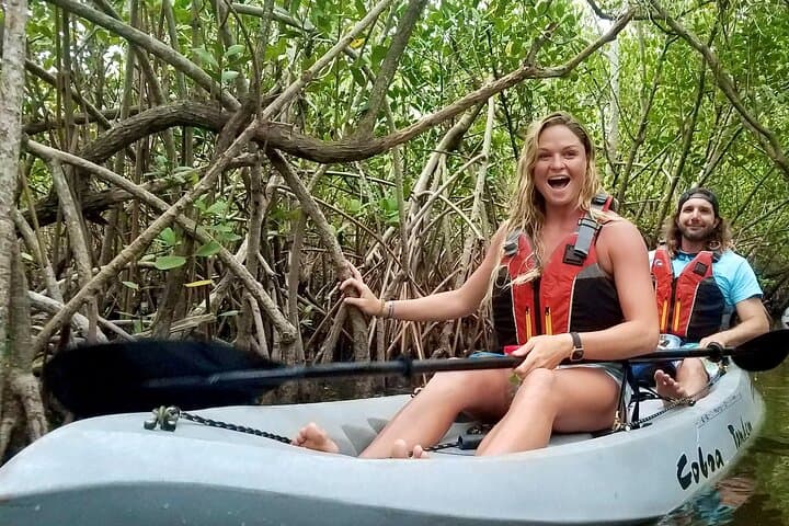 Kayak Mangrove Tunnels & Wildlife in Cocoa Beach: Dolphins, Manatees & Lagoon Tours
