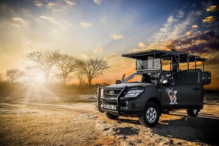 Private Kruger National Park Safari: Custom Guided Game Drives from Skukuza