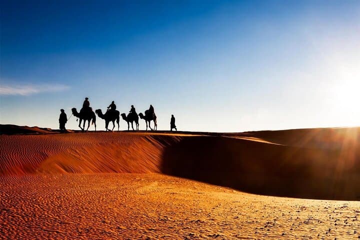 Two-Day Zagora Desert Camp and Draa Valley Private Tour from Marrakech