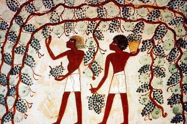 Half-Day in Luxor: Madinat Habu, Valley of the Nobles & Deir el-Medina photo 3