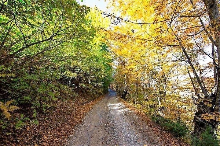 Hiking Albania's Wild Alps: Theth to Valbona Multi-Day Trek photo 6