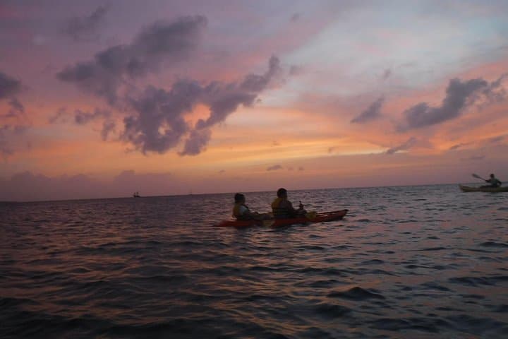 Night Glass-Bottom Kayak Tour in Aruba: Sunset, Reefs & Shipwrecks photo 3