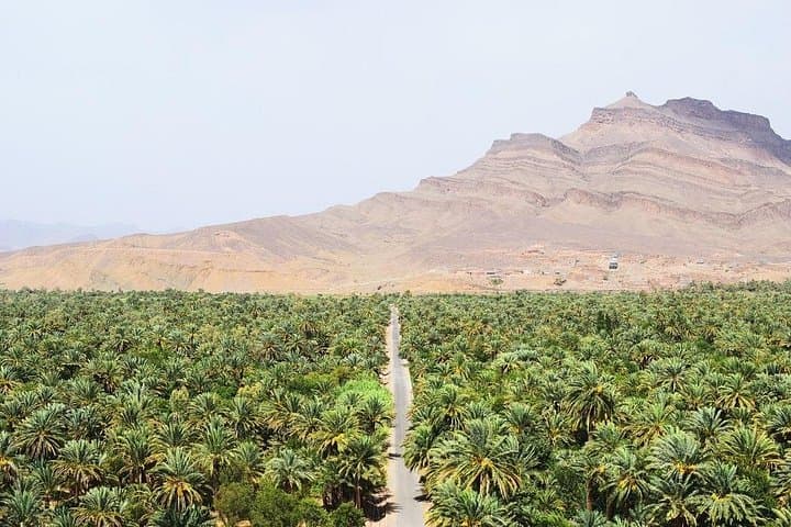 Morocco Encompassed: 15-Day Casablanca to Marrakech Desert, Atlas & Coastal Adventure photo 4