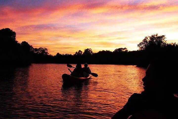 Firefly Kayaking in Bohol: Night Mangrove Paddle with Community Dinner photo 4