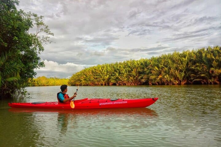 Firefly Kayaking in Bohol: Night Mangrove Paddle with Community Dinner photo 5