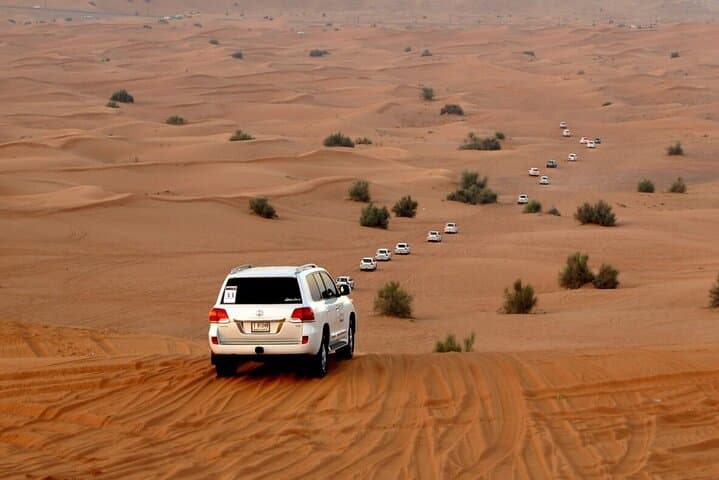 Red Dune Evening Desert Safari: Dune Bashing, Camel Ride & BBQ in Dubai photo 5